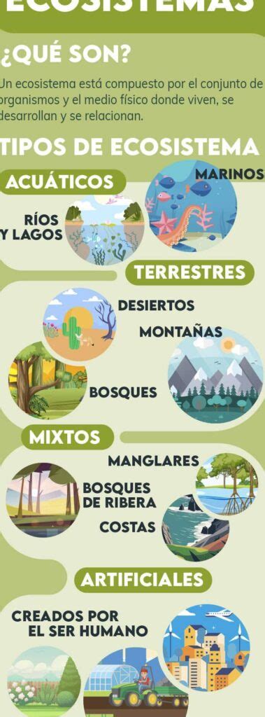 Importancia De Los Ecosistemas Descubre Su Valor Y Beneficios Eco360