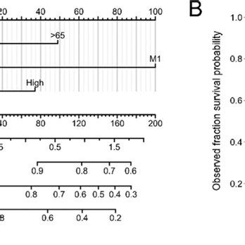 Construction And Validation Of A Nomogram To Show The Relationship