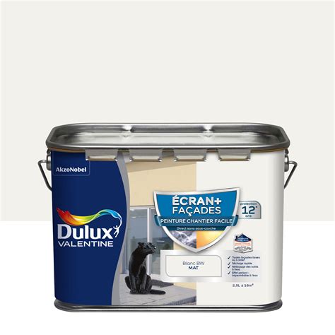 Peinture Ext Rieure Fa Ade Ecran Dulux Valentine Blanc Mat L