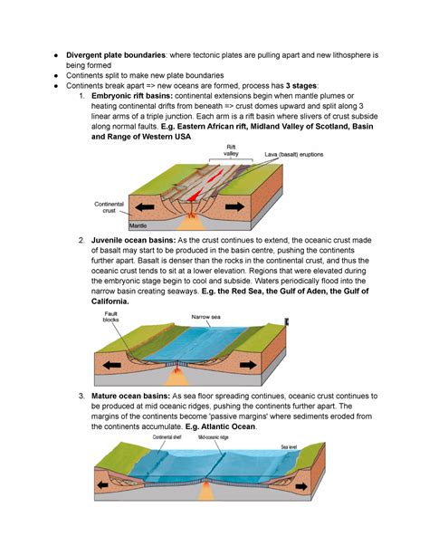 Eesa06 Module 3 Notes Questions Summer 2021 Divergent Plate