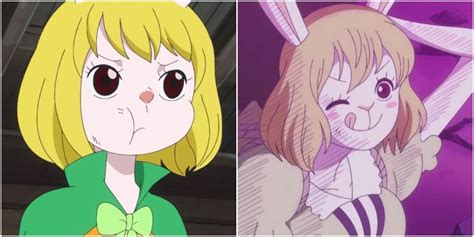 One Piece 10 Most Adorable Carrot Moments Ranked