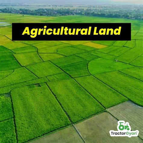 Top Profitable Agriculture Business Ideas In India Tg