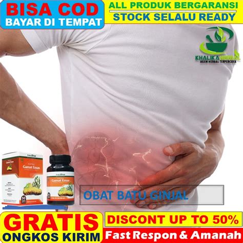 Jual Obat Batu Ginjal Obat Herbal Batu Ginjal Obat Herbal Khusus Batu