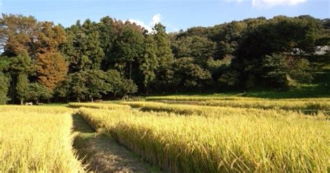 「第11回香川靖嗣の會」（喜多六平太記念能楽堂・平成28年9月3日）｜山崎与次兵衛