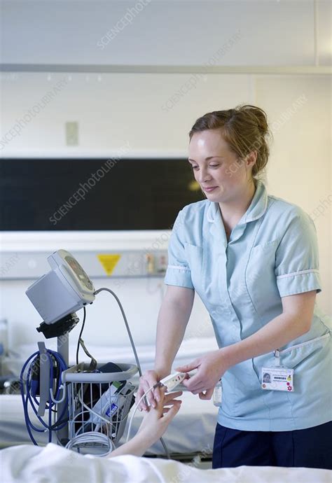 Blood oxygen monitor - Stock Image - C021/8818 - Science Photo Library