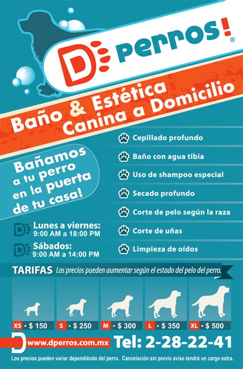 DPerros Estetica Canina A Domicilio