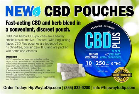 CBD Plus Herbal Pouches Review - KillTheCan.org