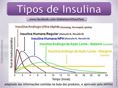 Diferença Entre Insulina Nph E Regular - Quais são os tipos de insulina que existem? | Diabeticool