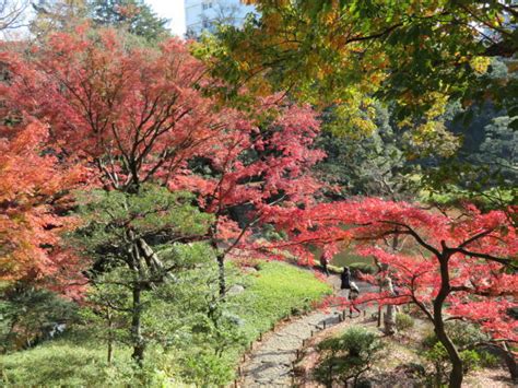 旧古河庭園の紅葉とバラ