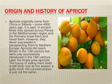 History Of Fruits By Allah Dad Khan