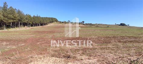 Rea Rural Para Plantio Interior De Ampere Pr Ampere Pr Investir