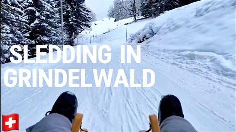 Grindelwald Adventure🇨🇭sledding In Switzerland 🛷 Beautiful Winter Day