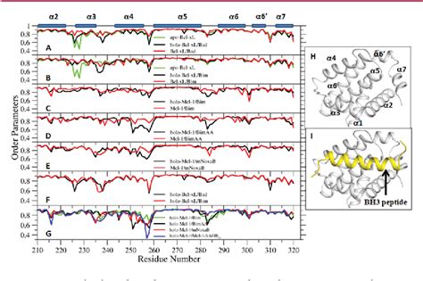 Figure 1 From Analysis Of Flexibility And Hotspots In Bcl Xl And Mcl 1 Proteins For The Design