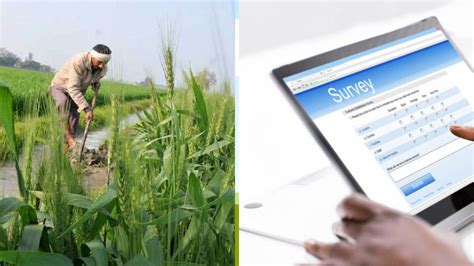 Digital Crop Survey से होगी किसानों की तरक्की अधिकारियों के लिए होगी