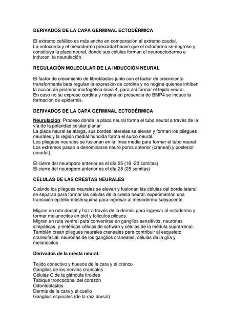 Derivados de la Capa Germinal Ectodérmica Camila Villagomez uDocz