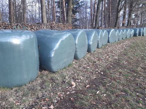 Silageballen Siloballen Bio Kaufen Landwirt