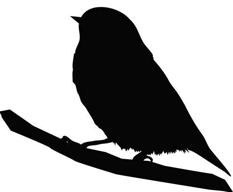 Bird Silhouette Clip art Beak Portable Network Graphics - Bird png ...