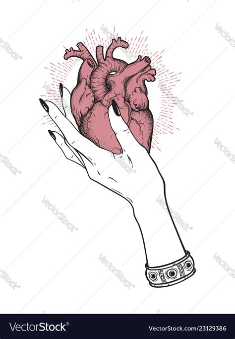 Human heart in graceful female hand isolated Vector Image