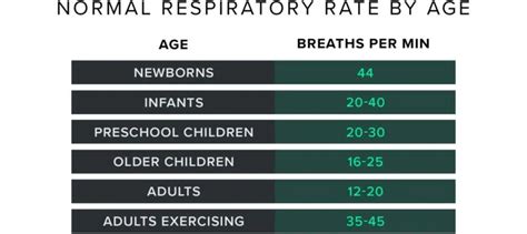 Normal Respiratory Rate While Sleeping How To Track