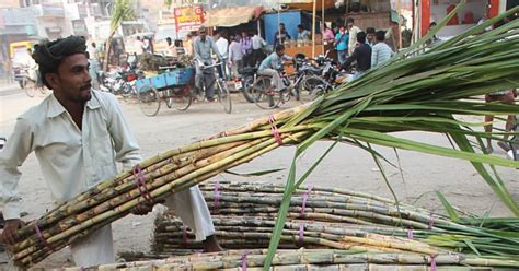 Most Of The World S Sugar Comes From This Country