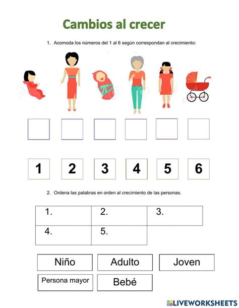 Cambios Al Crecer Interactive Worksheet