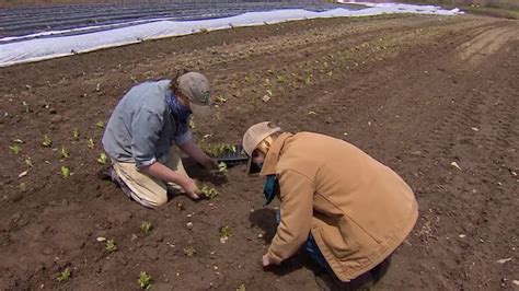 Equity In Farming In Massachusetts Youtube