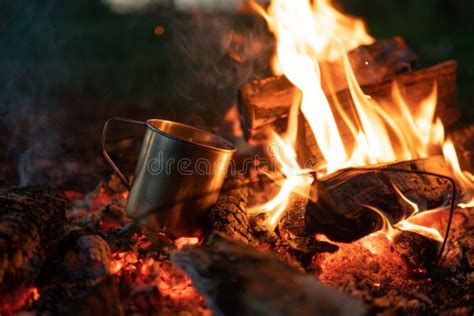 Bonfire Burning Trees At Night Large Orange Flame Isolated On A Black