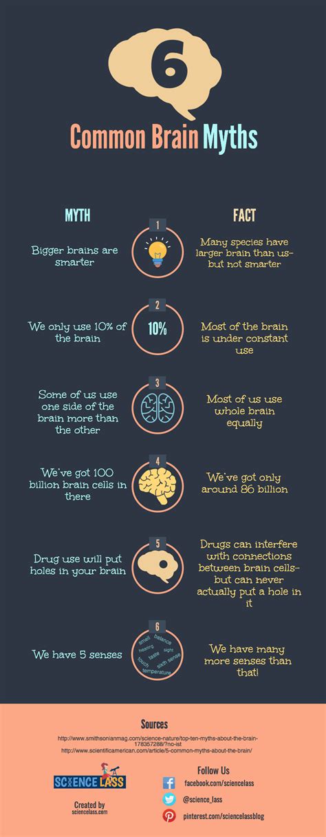 6 Common Myths (and Facts) About Our Brains [infographic] | Science Lass