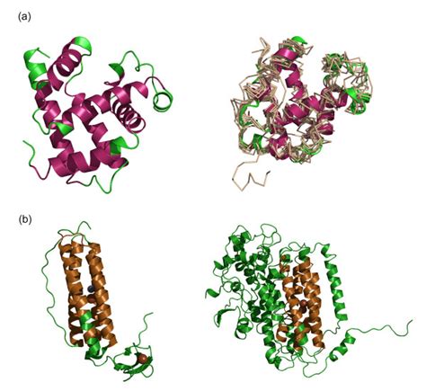 A Structurally Conserved Regions Identified In The Globin Fold In