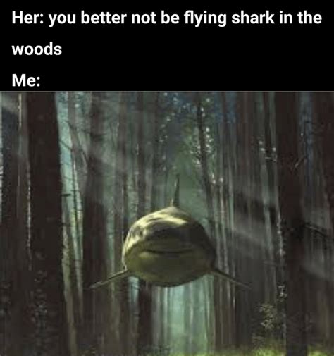 Me when flying shark in the woods : r/memes