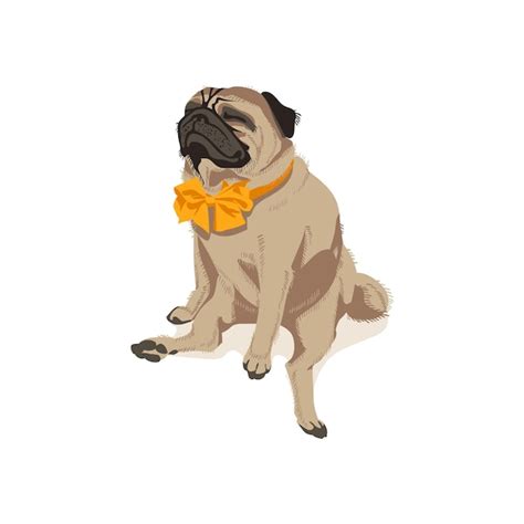 Lindo Perro Pug En Pajarita Vector Premium