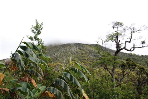 Bougainville Island — Discover Bougainville, Autonomous Region