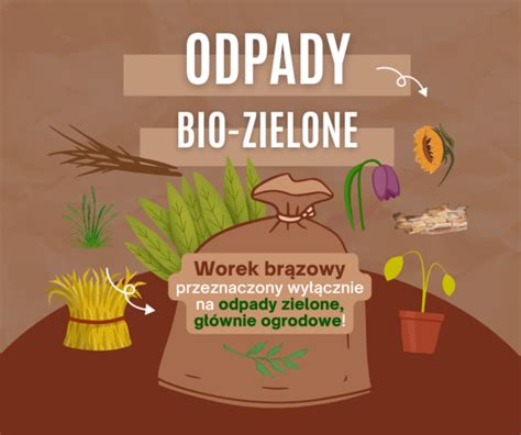 Od Stycznia Podzia Odpad W Na Bio Kuchenne I Bio Zielone Portal