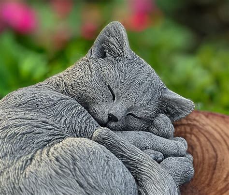 Cute Lying Cat Statue Outdoor Realistic Cat Concrete Cat Sculpture Stone Cat Memorial Statue