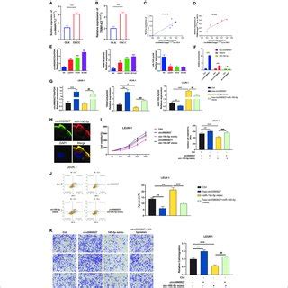 Hsa Circ 0060927 Played An Oncogenic Role In LEUK1 Cells Via The