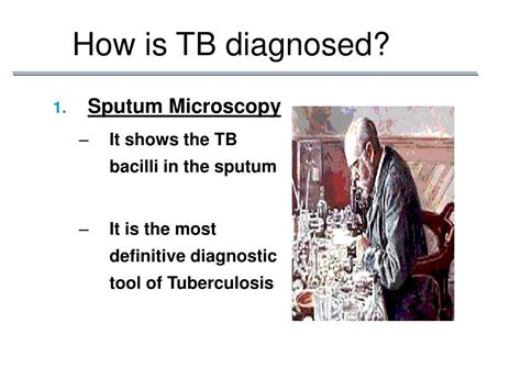 Ppt Tb 101 Basic Facts On Tuberculosis” Powerpoint Presentation Id