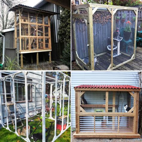 Diy Catio Plans Free Do It Your Self