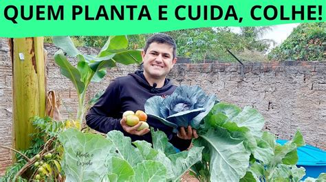 QUEM PLANTA CUIDA COLHE Trabalhando Na Horta Plantando VERDURAS E