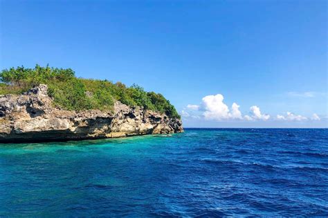 Pescador Island Diving: A Dive Heaven In Moalboal, Cebu