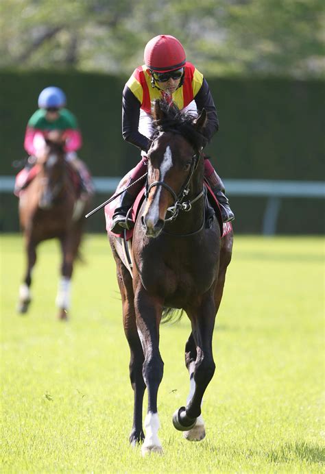 重賞戦線で活躍したアルジャンナ死亡していた 5月28日の障害戦で右第1指関節脱臼 競馬写真ニュース 日刊スポーツ