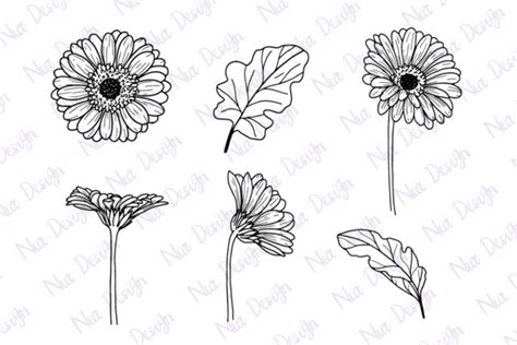 Daisy Flower Line Art Set Svg Graphic By Nurdesign99 · Creative Fabrica