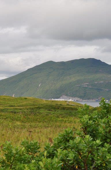 Unalaska broadband is latest of federally supported rural projects ...