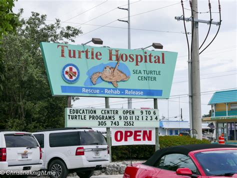 Marathon Turtle Hospital, Florida Keys, USA - Adventure, baby!