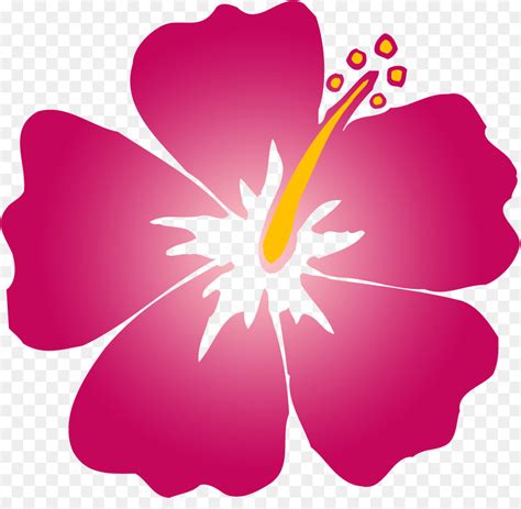 Hawaiian Flower Clip art - Hibiscus Cartoon png download - 594*596 ...