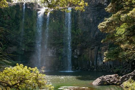 Whangarei Falls - Ed O'Keeffe Photography