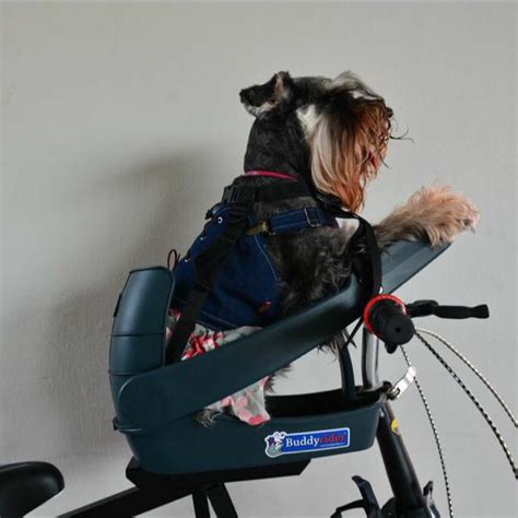 9+ Dog Seat For Bike - JaasdeepBrook