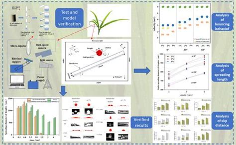 Understanding Dilution Effects On Particle Containing Pesticide