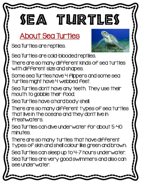 Informational Text Story Second Grade