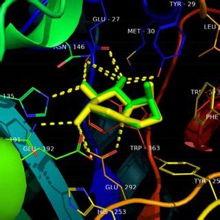 Overlapping Nadph Ligand From D Sterol Reductase With Best