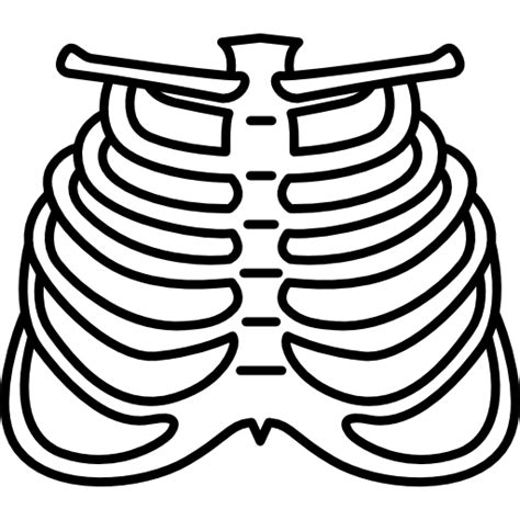 Human Ribs Drawing | Free download on ClipArtMag